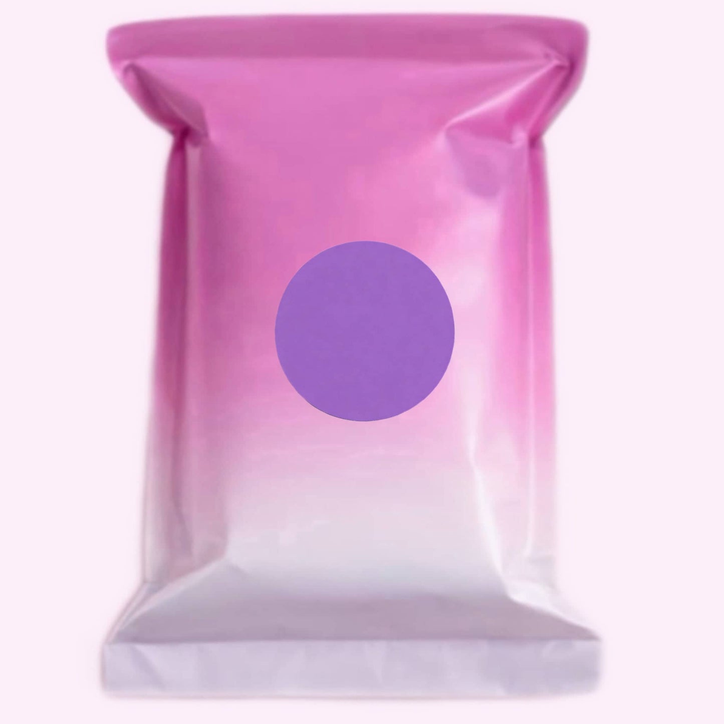 Mystery Mini Bag + Without Box