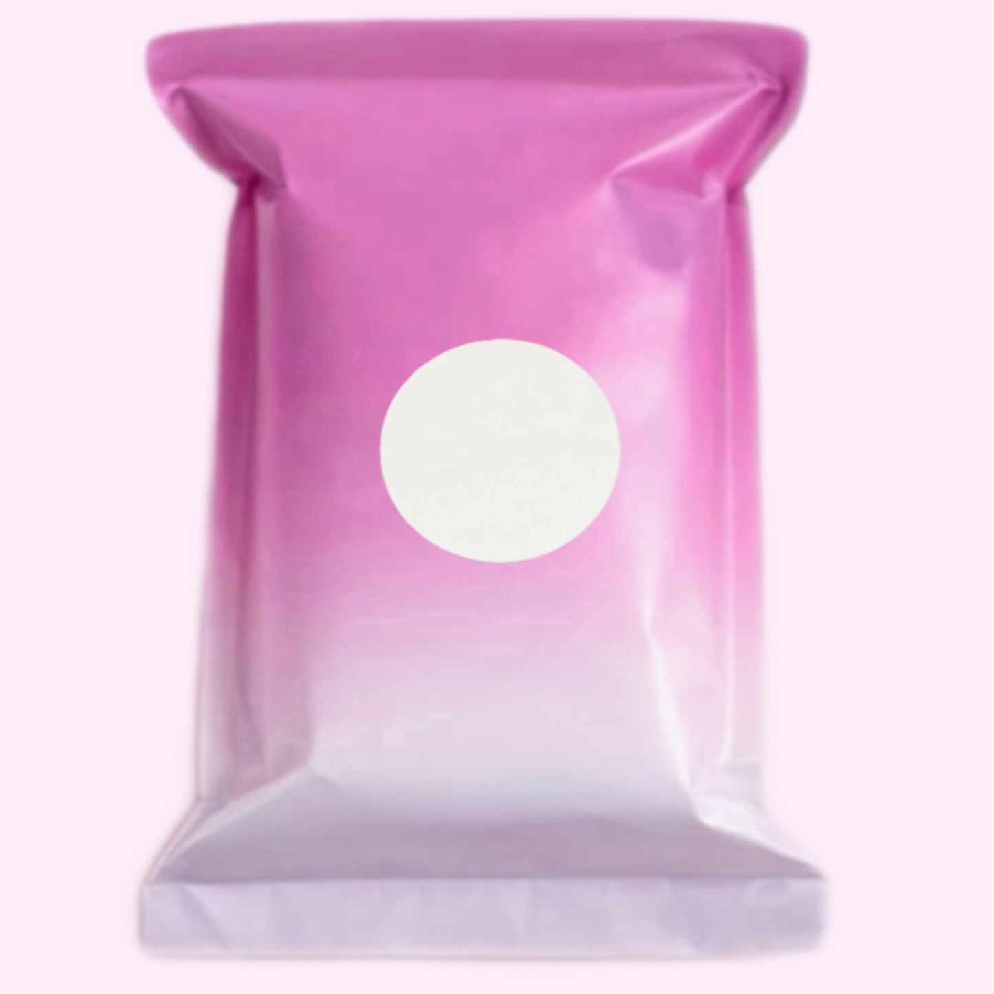 Mystery Mini Bag + Without Box