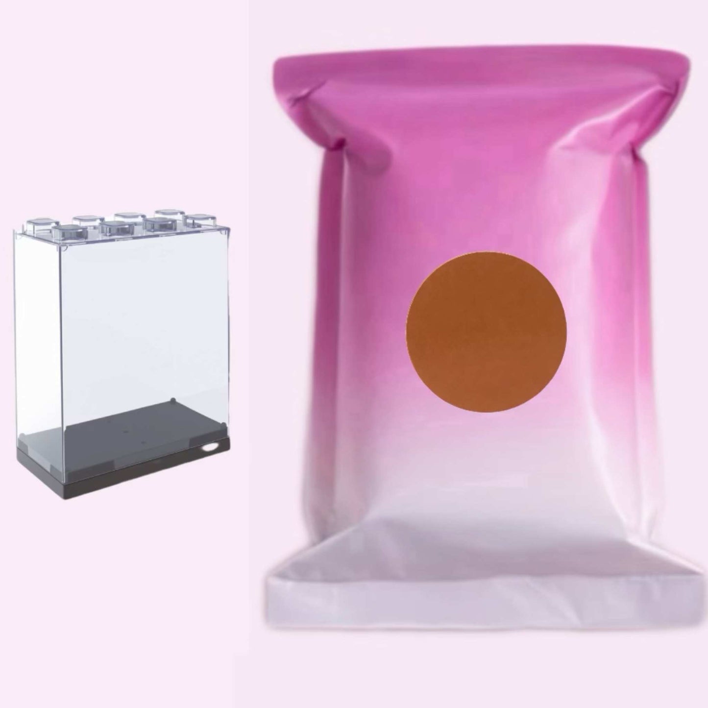 Mystery Mini Bag + Acrylic Box