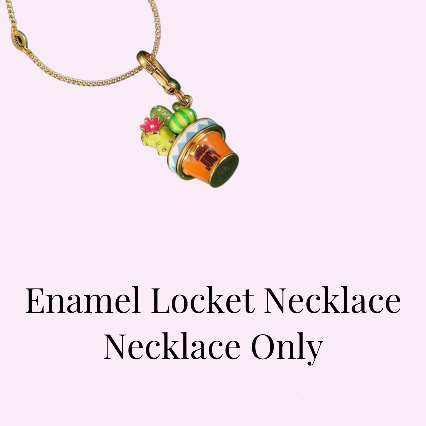 Cactus Pot Enamel Locket Necklace