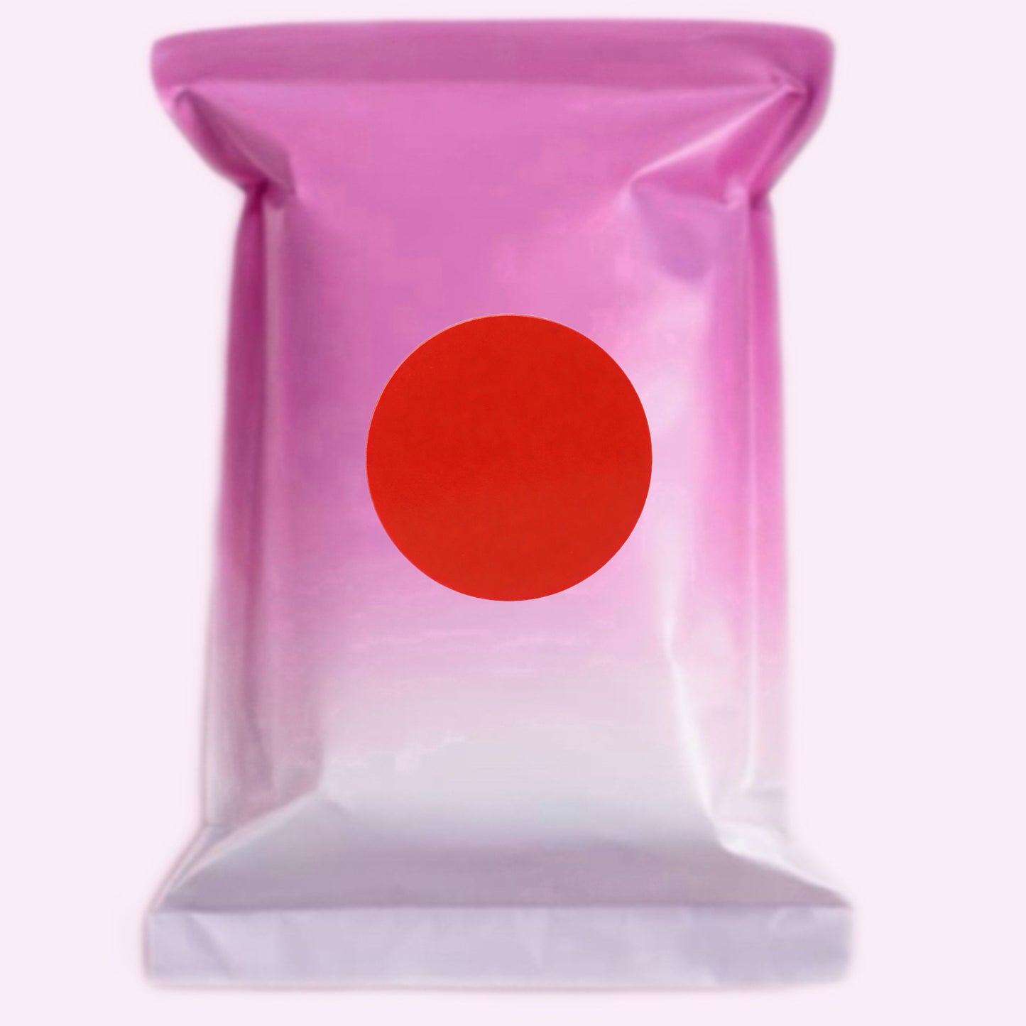 Mystery Mini Bag + Without Box