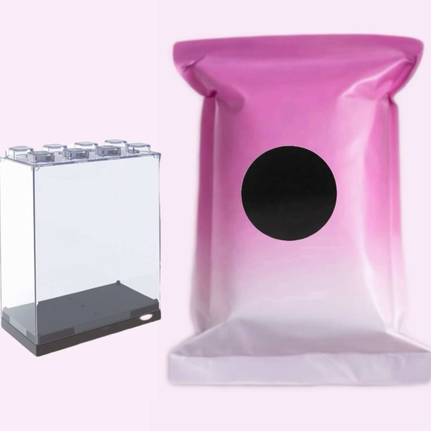 Mystery Mini Bag + Acrylic Box