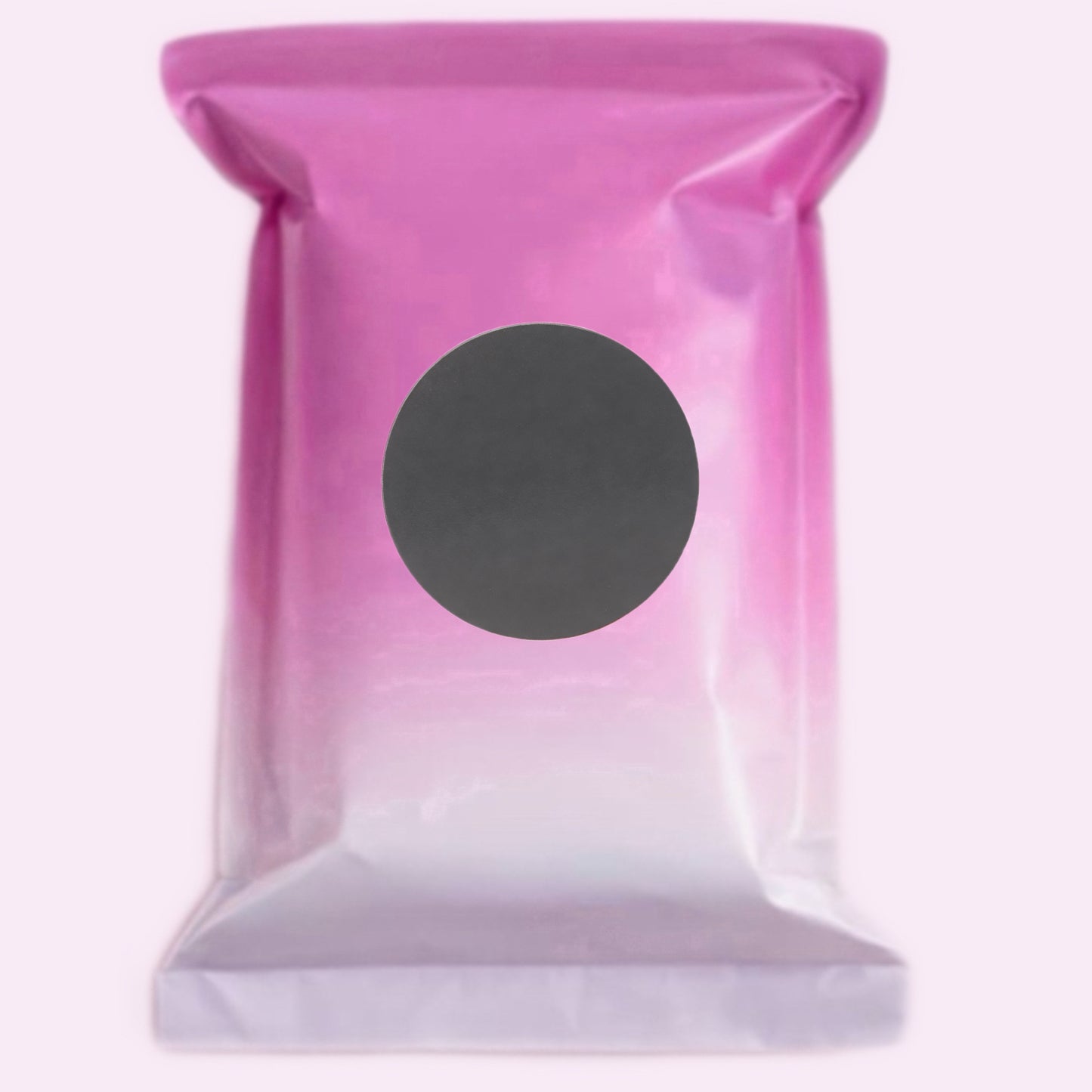 Mystery Mini Bag + Without Box