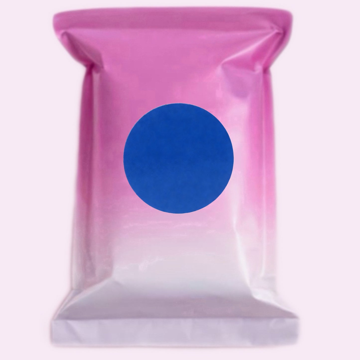 Mystery Mini Bag + Without Box