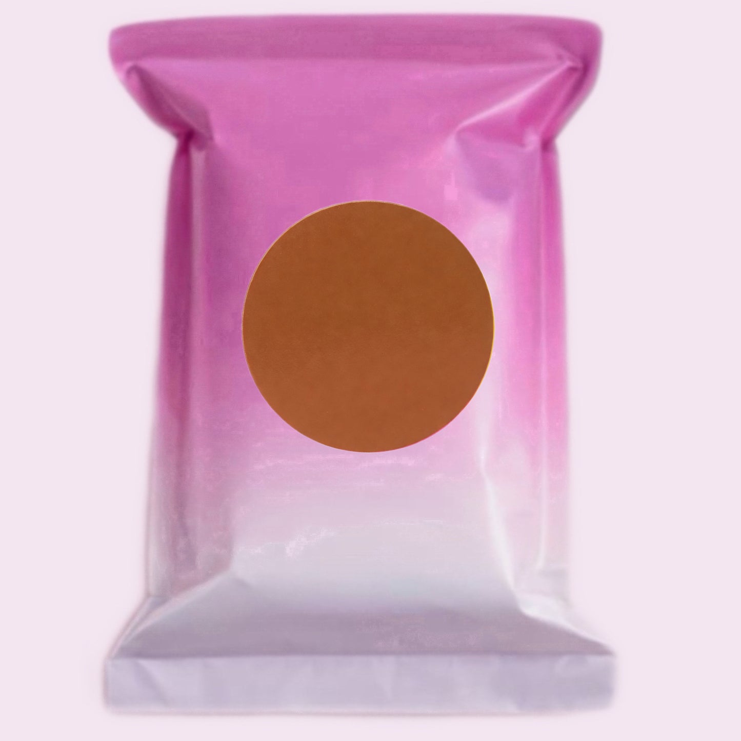 Mystery Mini Bag + Without Box