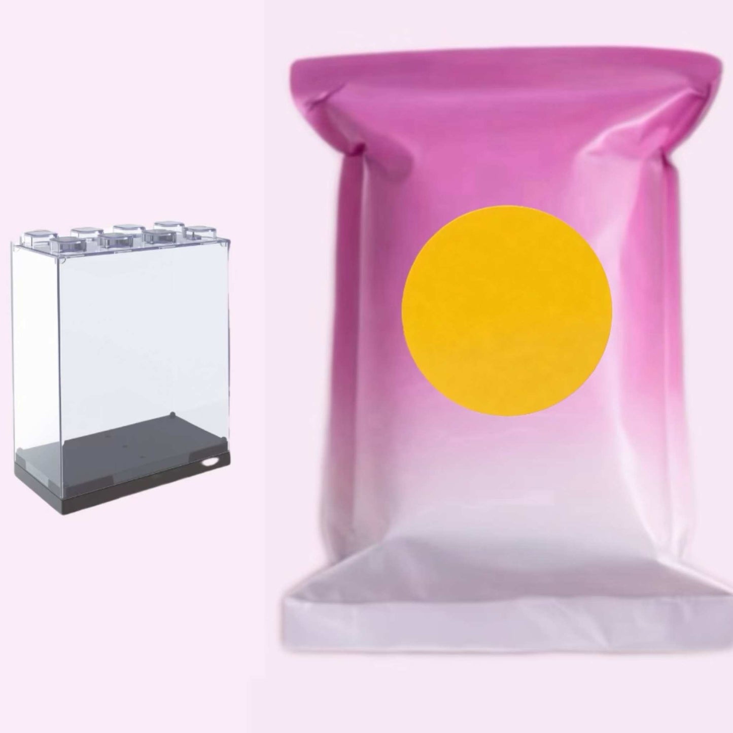 Mystery Mini Bag + Acrylic Box