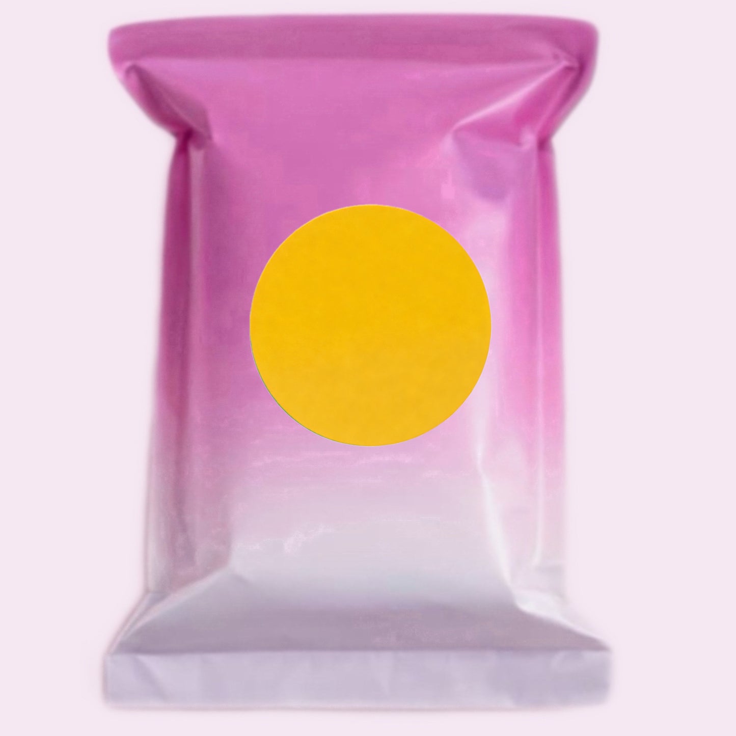 Mystery Mini Bag + Without Box